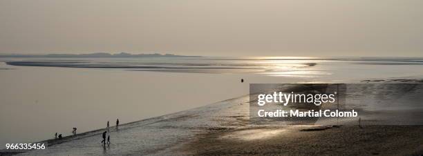 beach of the crotoy in the bay of somme - le crotoy stock-fotos und bilder