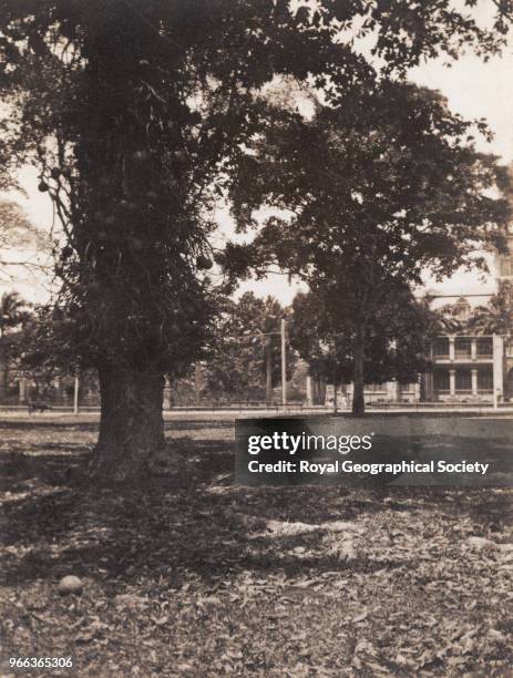 Queen's Park Savannah - Port of Spain, Trinidad and Tobago, 1920.