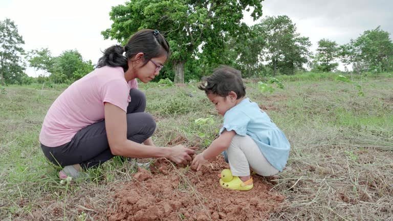 Afforest Rochester 221 Deforestation For Kids Stock Videos, Footage, & 4K Video Clips ...