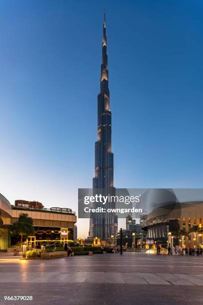 night view of burj khalifa tower in dubai - dubai fountain stock pictures, royalty-free photos & images