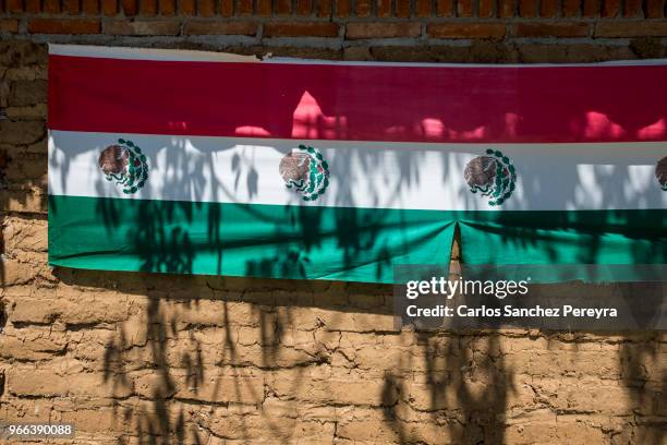 mexican flag - adobe texture stock pictures, royalty-free photos & images