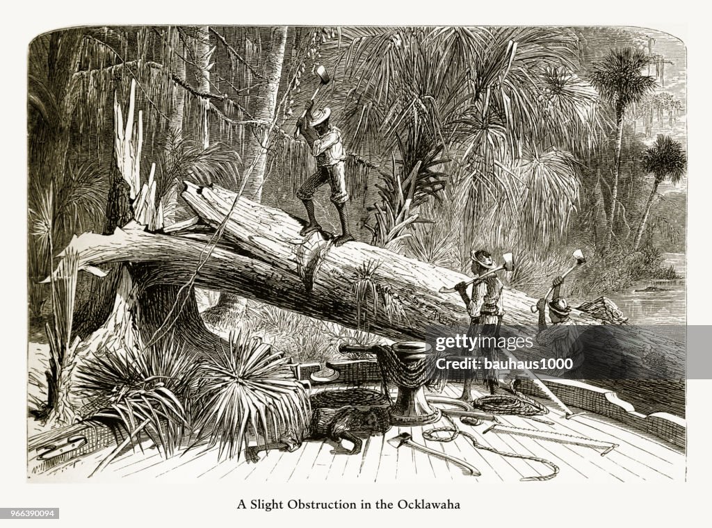 Obstruction on the Ocklawaha River, Florida Swamp, Florida, United States, American Victorian Engraving, 1872