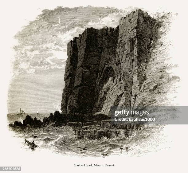 城堡的頭，裝入沙漠島，緬因州，美國，美國維多利亞時代雕刻 1872 - hancock county 幅插畫檔、美工圖案、卡通及圖標