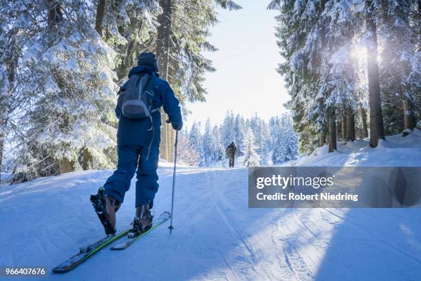 ski touring in forest, bavaria, germany - scialpinismo foto e immagini stock