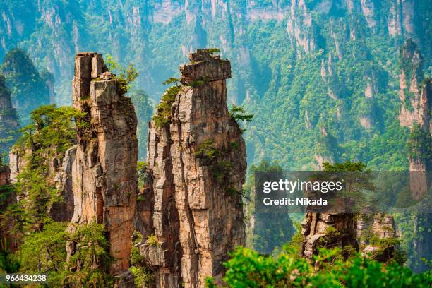 avatar berg, zhangjiajie national forest park, china - zhangjiajie national forest park stock-fotos und bilder