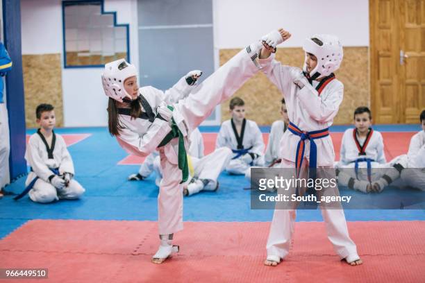 martial arts - karate girl stockfoto's en -beelden