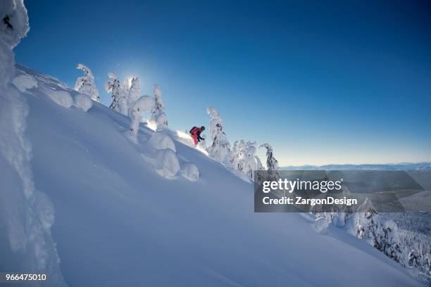 powder skiing - heli skiing stock pictures, royalty-free photos & images
