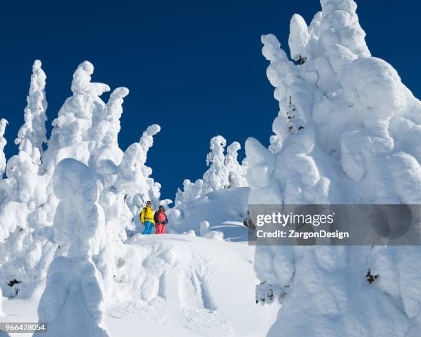 powder skiing - heli skiing stock pictures, royalty-free photos & images