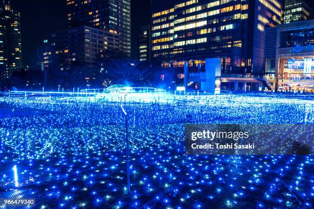 over 500,000 led lights are displayed in the starlight garden (grass square) and glow in the night in roppongi tokyo on december 21 2017. people are watching and photographing illumination. - roppongi ストックフォトと画像