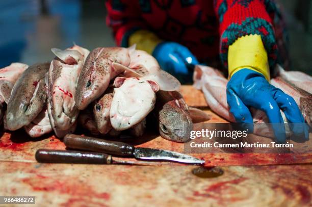 fish market - dead shark stock pictures, royalty-free photos & images