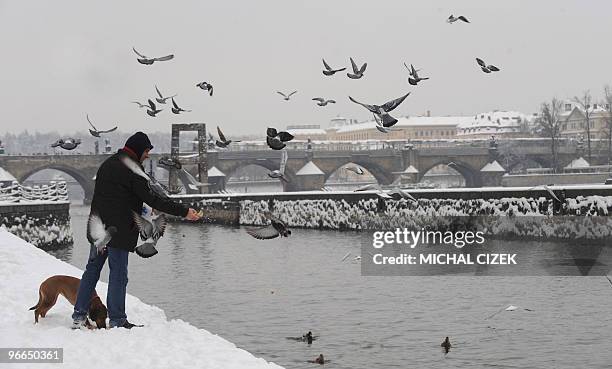 Man feeds seagulls on the bank of Vltava river as snow falls on January 9, 2010 in Prague downtown. AFP PHOTO / MICHAL CIZEK