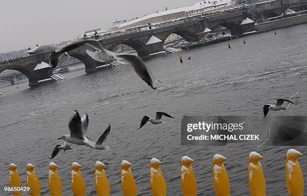 Seagulls fly above plastic sculptures of penguines on the bank of Vltava river during a snowfall on January 9, 2010 in Prague downtown. AFP PHOTO /...