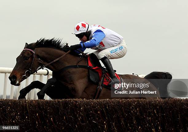 Timmy Murphy and Diamond Harry clear the last fence before going on to win The totesport Novices' Steeple Chase Race run at Newbury Racecourse on...