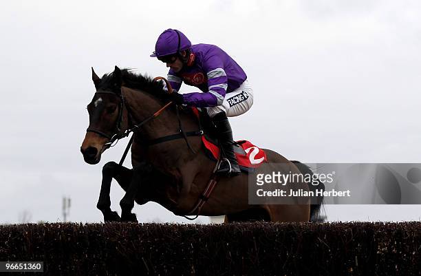 Ruby Walsh and Inchidaly Rock clear a fence during The totesport Novices' Steeple Chase Race run at Newbury Racecourse on February 13, 2010 in...