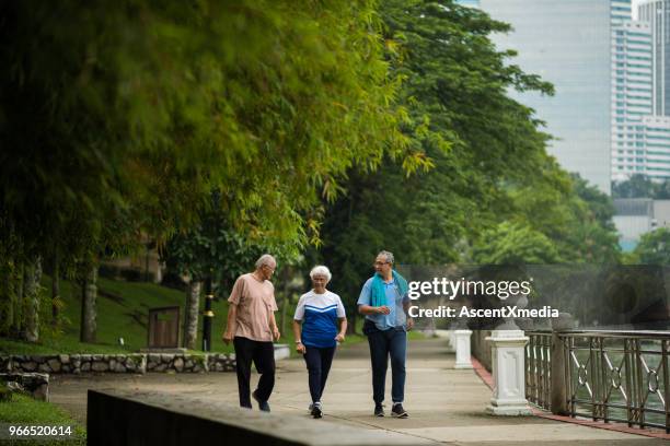 aktive senioren freunde, die einen gesunden lebensstil zu genießen - 3 old men jogging stock-fotos und bilder