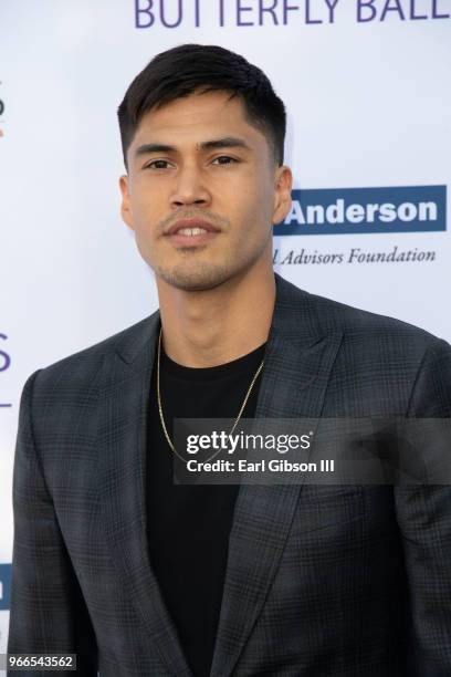 Martin Sensmeie attends the 17th Annual Chrysalis Butterfly Ball at Private Residence on June 2, 2018 in Brentwood, California.