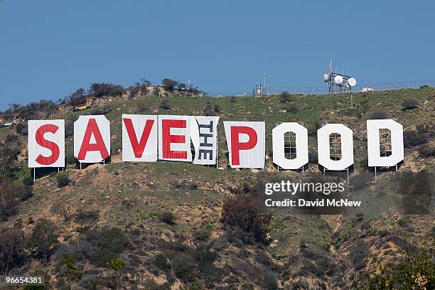 Activists continue covering the iconic 450-foot-long Hollywood sign with banners during an effort to prevent the building of houses there on February...