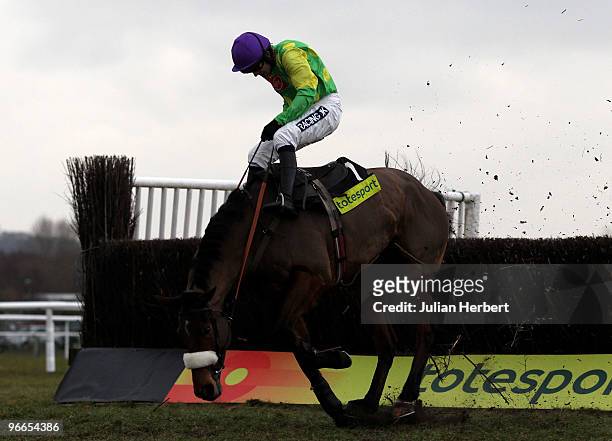 Ruby Walsh and Master Minded survive a mistake at the last fence before going on to win The totepool Game Spirit Steeple Chase Race run at Newbury...