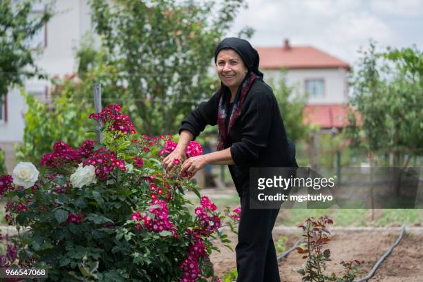 Muslim senior woman gardening in backyard