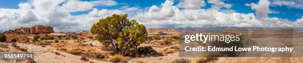 cathedral valley, capitol reef national park, utah. - deserto pintado imagens e fotografias de stock
