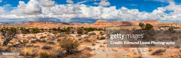 cathedral valley, capitol reef national park, utah. - deserto pintado imagens e fotografias de stock