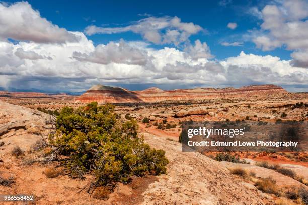 cathedral valley, capitol reef national park, utah. - squall stock pictures, royalty-free photos & images