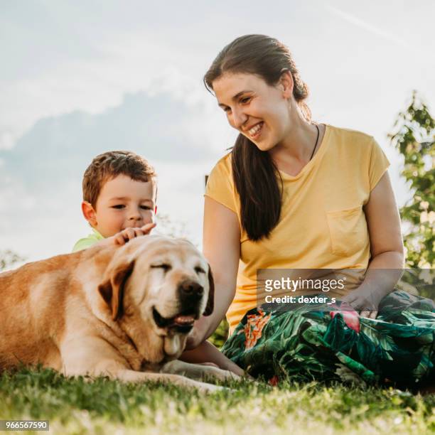 happy boy and mother with dog - dexters stock pictures, royalty-free photos & images