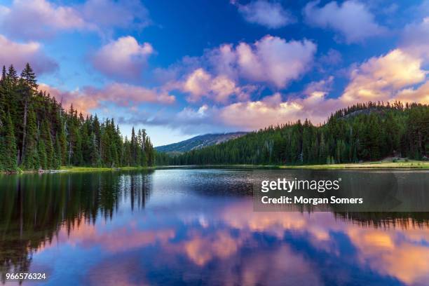 mt bachelor reflecting in todd lake bend, oregon - horizontal stock pictures, royalty-free photos & images