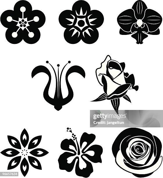 flower collection - orchids stock illustrations