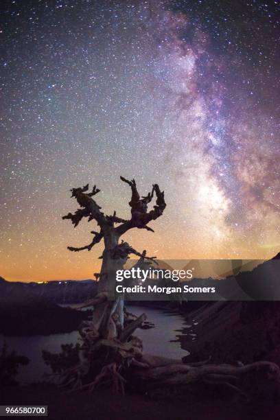 crater lake and wizard island - wizard island stock pictures, royalty-free photos & images