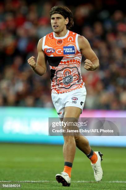 Ryan Griffen of the Giants celebrates a goal during the 2018 AFL round 11 match between the Adelaide Crows and the GWS Giants at the Adelaide Oval on...