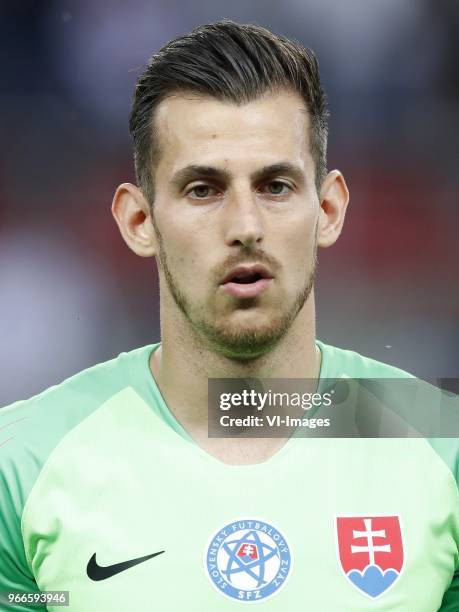 Goalkeeper Martin Dubravka of Slovakia during the International friendly match between Slovakia and The Netherlands at Stadium Antona Malatinskeho on...