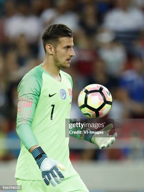 Goalkeeper Martin Dubravka of Slovakia during the International friendly match between Slovakia and The Netherlands at Stadium Antona Malatinskeho on...