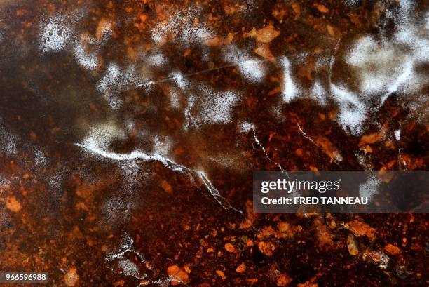 Photo taken on May 29, 2018 shows a close-up of a recycle material made of cigarette butts at the MeGo plant in Bourg-Blanc, western France. - MeGo...