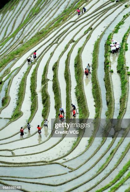 Villagers work at Longji Rice Terrace at Longsheng Various Nationalities Autonomous County on June 2, 2018 in Guilin, Guangxi Zhuang Autonomous...