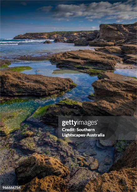 merri marine sanctuary on thunder point, warrnambool, victoria, australia. - bass strait stockfoto's en -beelden