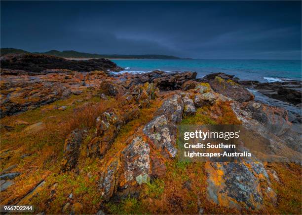 stormy spring day at black point near colliers beach and seal bay, king island, tasmania, australia. - seal bay stock pictures, royalty-free photos & images