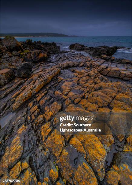 stormy spring day at black point near colliers beach and seal bay, king island, tasmania, australia. - seal bay stockfoto's en -beelden