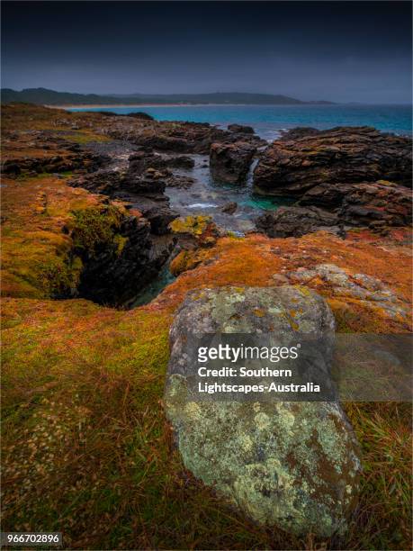stormy spring day at black point near colliers beach and seal bay, king island, tasmania, australia. - seal bay stock pictures, royalty-free photos & images