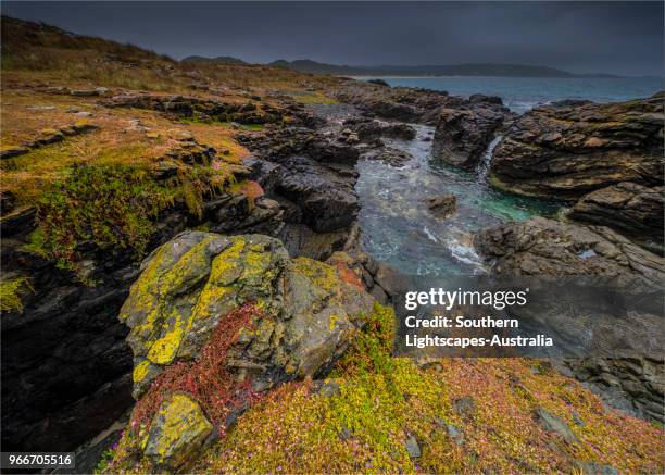 stormy spring day at black point near colliers beach and seal bay, king island, tasmania, australia. - seal bay fotografías e imágenes de stock