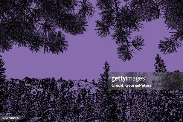 ilustrações, clipart, desenhos animados e ícones de parque nacional bryce canyon e pinheiros ponderosa fundo de agulhas - ponderosa pine tree