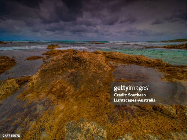 badger's box on a stormy day in spring, west coastline of king island tasmania, australia. - bass strait stock pictures, royalty-free photos & images