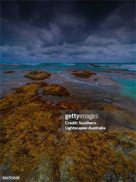 badger's box on a stormy day in spring, west coastline of king island tasmania, australia. - bass strait stockfoto's en -beelden