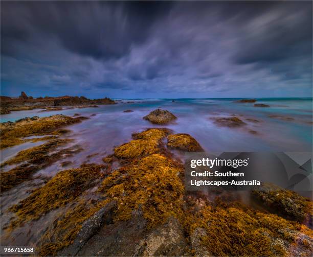 badger's box on a stormy day in spring, west coastline of king island tasmania, australia. - bass strait stockfoto's en -beelden