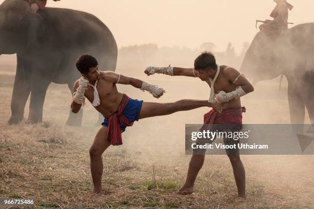 fighters of thailand,thai boxing, muay thai - muaythai boxing stock pictures, royalty-free photos & images