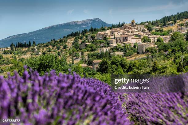 gordes, provincie frankrijk als achtergrond van het lavendel veld in zomer - lavender field france stockfoto's en -beelden
