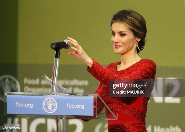 L?occasion de la seconde conférence internationale sur l?alimentation, la reine Letizia d'Espagne s?est rendue le 20 novembre 2014 au siège de la...