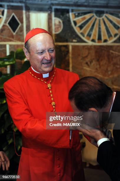 Cardinal Ravasi 262 Gianfranco Ravasi Cardinal Stock Photos, High-Res Pictures, and ...
