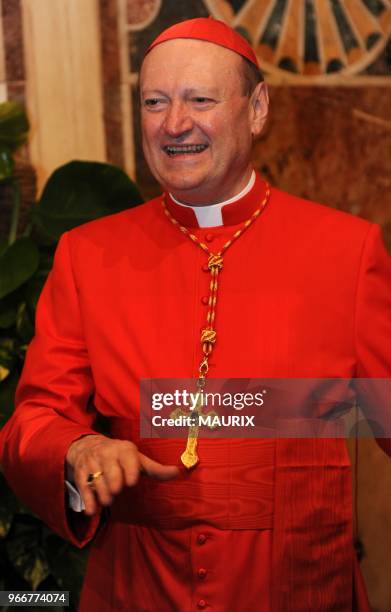 Cardinal Ravasi 262 Gianfranco Ravasi Cardinal Stock Photos, High-Res Pictures, and ...