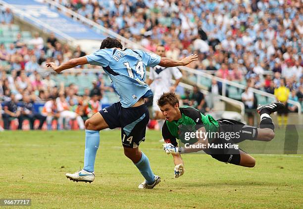 Alex Brosque of Sydney collides with goalkeeper Mitchell Langerak of the Victory during the round 27 A-League match between Sydney FC and the...